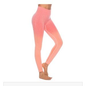 Astoria Activewear Seamless Ombré Leggings